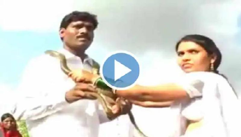 bride and groom exchanges snakes garlands  video viral 