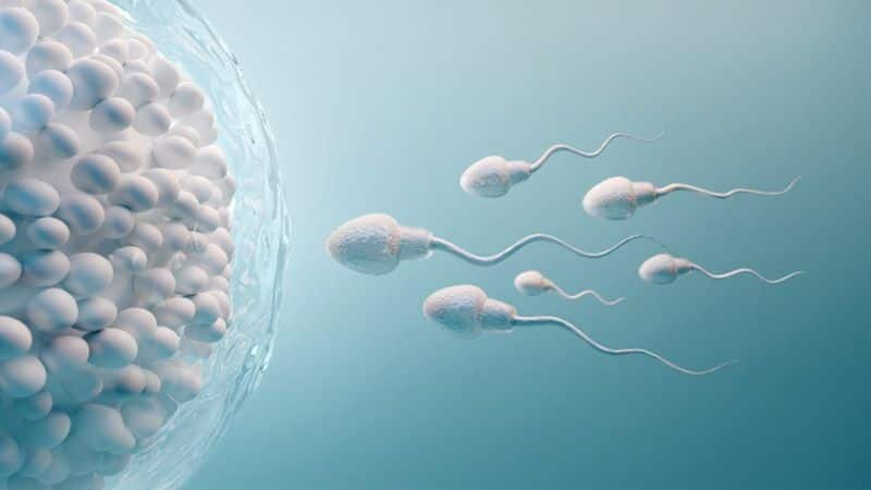 ben gurion university of the negev produced an innovative microchip for creating sperm