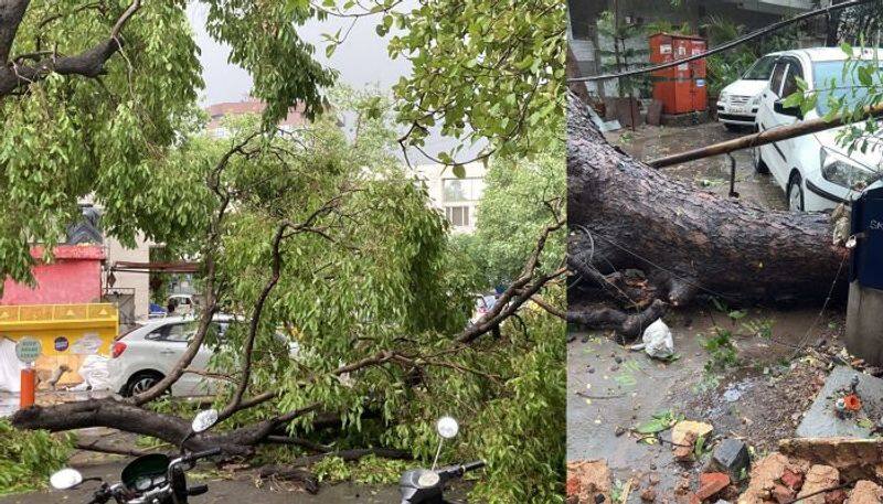 Sudden heavy rain and strong winds lash Delhi; offer relief from heat