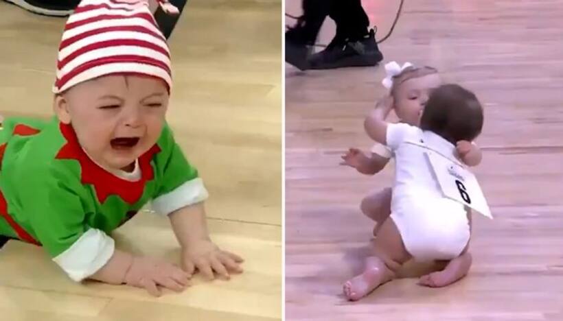 This baby crawling race will leave you in splits; watch