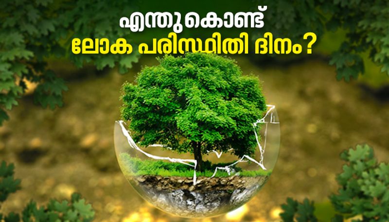 World environment day 2022 importance 