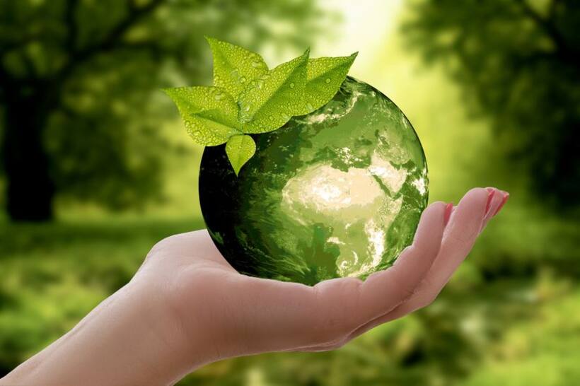 environment