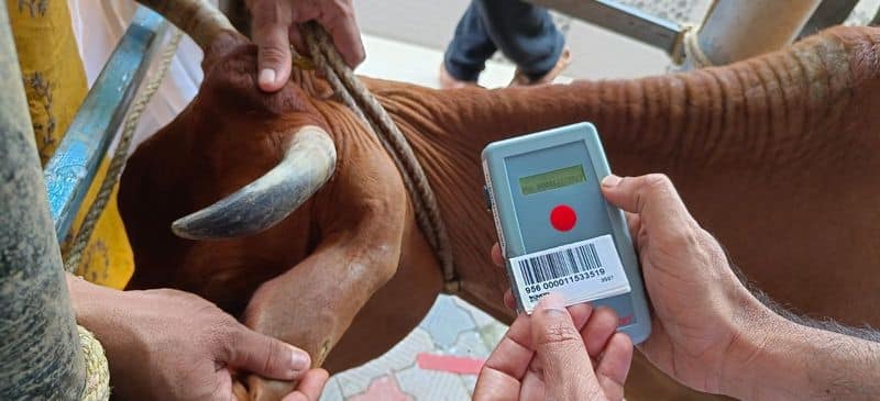 Unique identification number for animals RFID tags  in kerala 