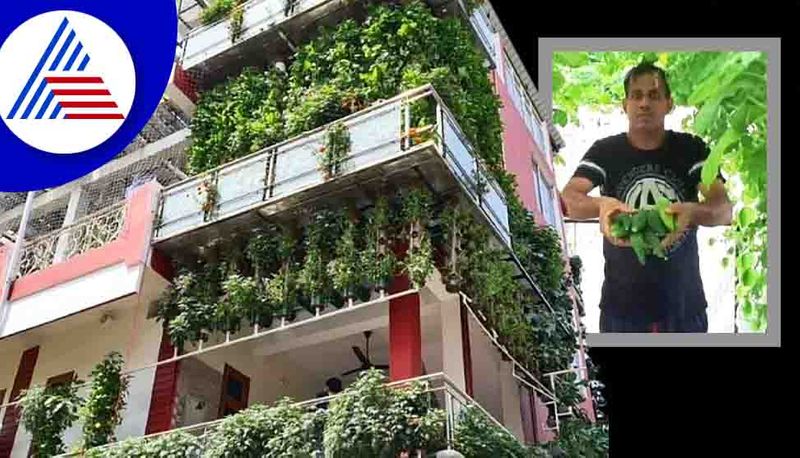 This Man Covered His Three Story House In Uttar Pradesh With 10,000 Plants Vin