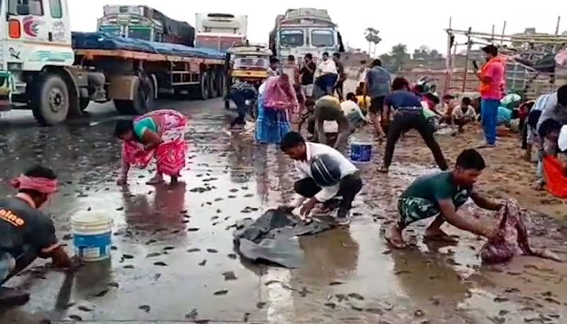 Watch People loot fishes as truck overturns in Bihar-tgy