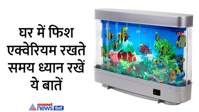 Feng Shui Tips For Fish Aquarium: पॉजिटिव एनर्जी बढ़ाता है फिश एक्वेरियम, लेकिन इसे गलत जगह रखने की भूल न करें 