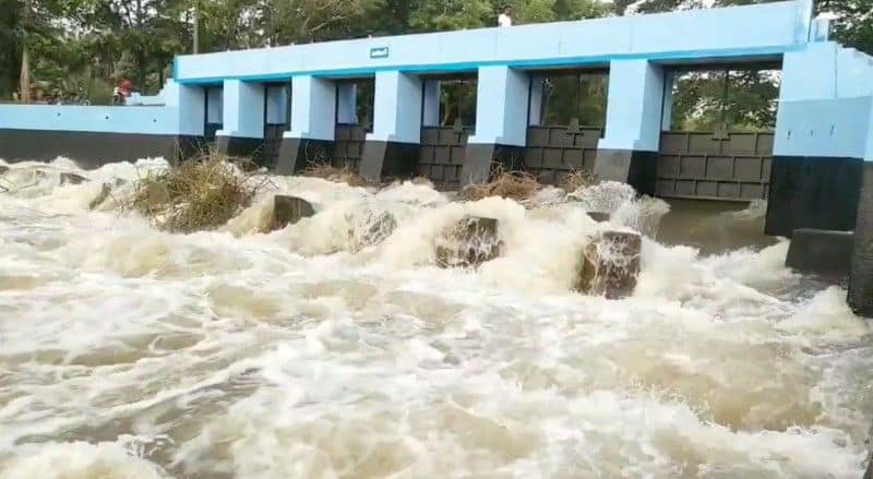 Cauvery river water reaches villages of Tamil Nadu