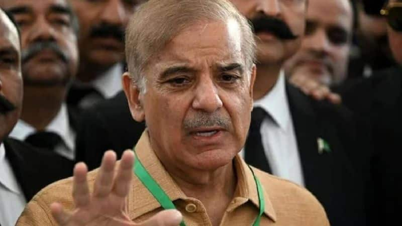 Friendly nations think we beg for money: Pakistan PM Shehbaz Sharif on current 'challenging situation' - adt 