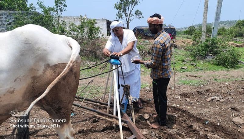 Vijayapura District inchageri mutt Swamiji Farming rbj