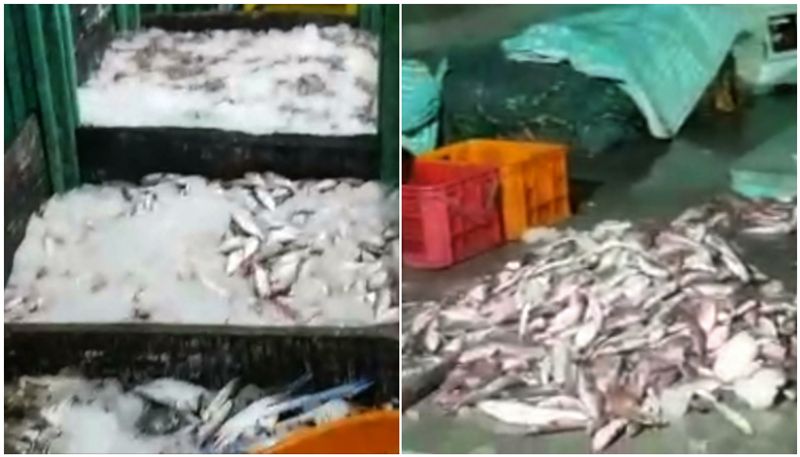 stale fish seized fromNeendakara Fishing Harbour,