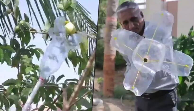 Man’s unique fruit picking tool earns praises from Anand Mahindra; watch