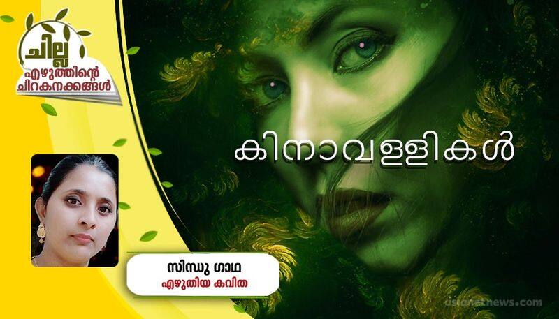 chilla malayalam poem by sindhu gadha