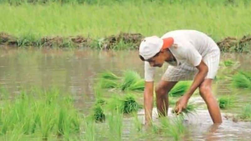 PM Kisan beneficiary check 2022 online payment via mobile/Aadhar