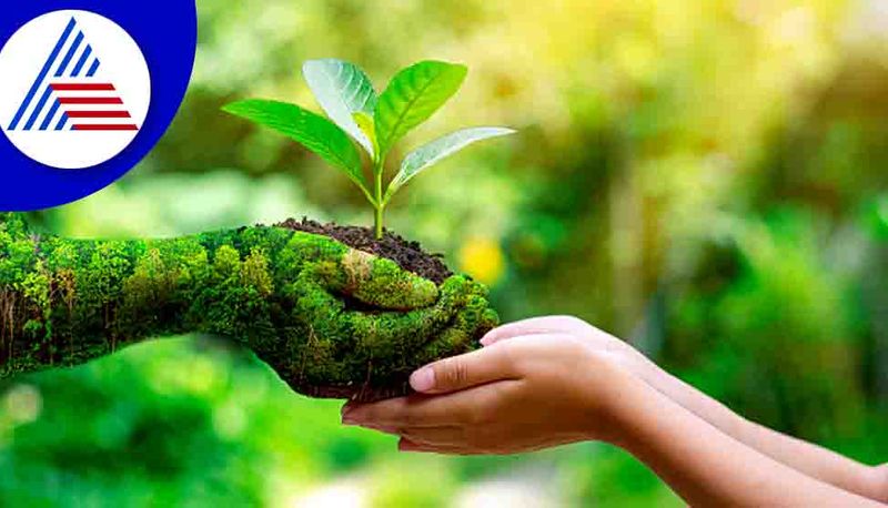 World Environment Day 2022, History, Theme And Significance Vin