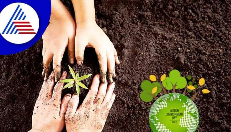 World environment day: Here are 5 ways to save the planet ADC