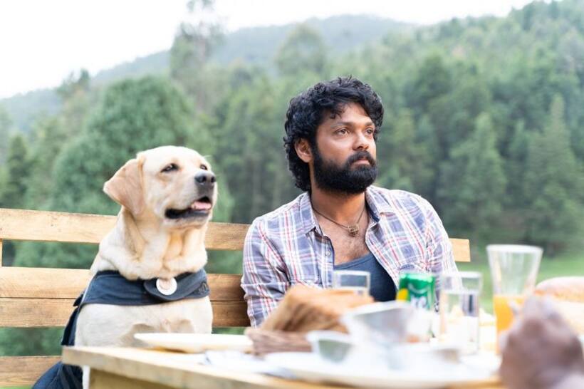 Bigg Boss Kannada 10: Rakshit Shetty's dog 'Charlie' to enter Kichcha Sudeep's reality show; read details
