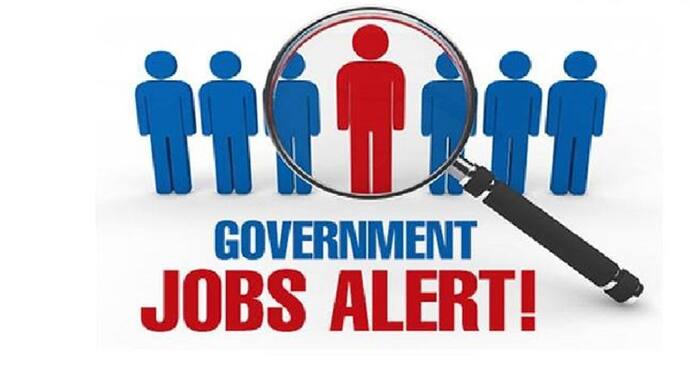 Government jobs: 10वीं पास से लेकर ग्रेजुएट तक 5000 से ज्यादा पदों पर निकली बंपर भर्तियां, ऐसे करें अप्लाई