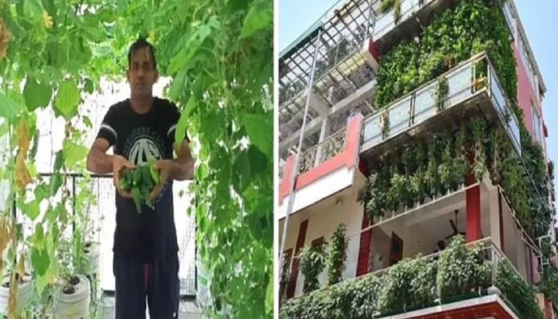 Hydroponics farming man earns 70 lakhs per year 