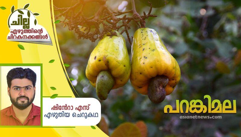 chilla malayalam short story by Shinto S