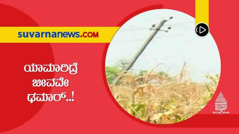 Farmers Faces Problems Due to Power Poles at Field in Chitradurga grg