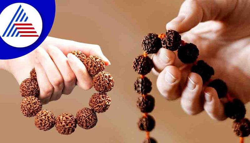 these people should be careful while wearing rudraksha suh