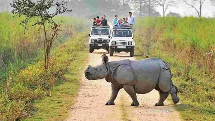 अब काजीरंगा नेशनल पार्क में 40 किमी/घंटा से अधिक की स्पीड से व्हीकल्स नहीं चला सकेंगे