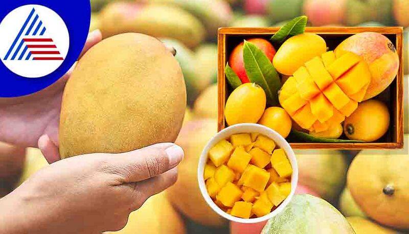 Is it good to eat mango during the first trimester of pregnancy?