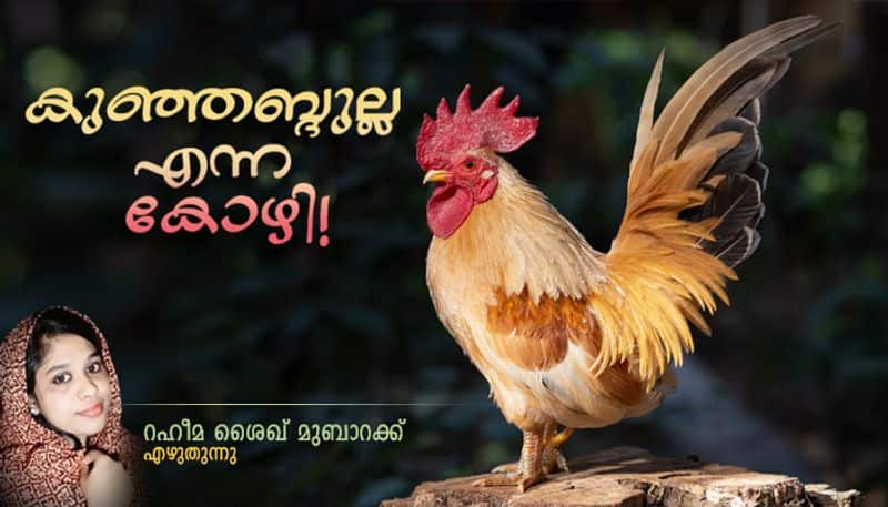 Experience A chicken named Kunjabdullah by Raheema Sheikh mubarak 