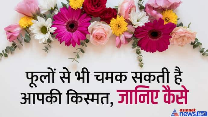 Good Luck Tips: किस दिन कौन-सा फूल साथ रखने से बढ़ता है गुड लक? ये उपाय दिला सकते हैं बड़ी सक्सेस