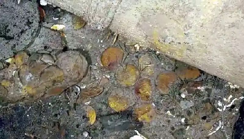 Columbia finds 2 new seawrecks near Spanish galleon full of gold worth 17B dollars pod