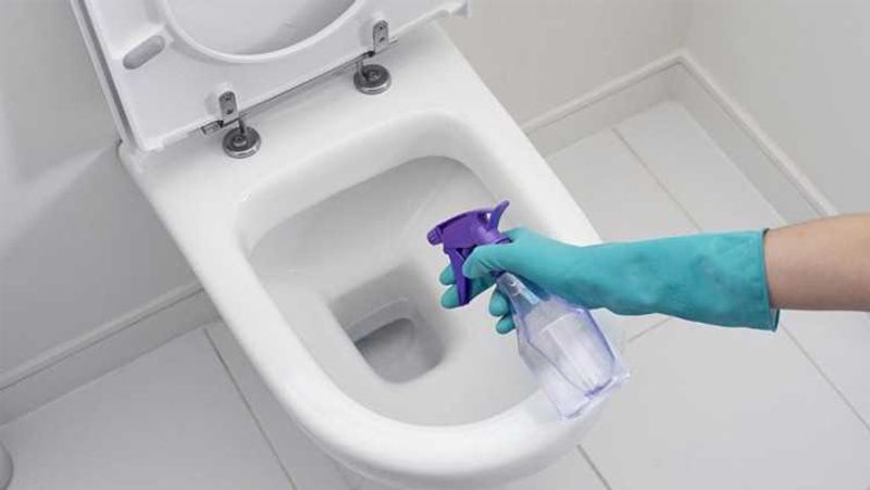 here are some tips for cleaning a toilet in tamil mks