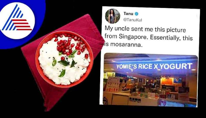 Yommies Rice Ex Yogurt, Now Curd Rice Available In Singapore Also Vin