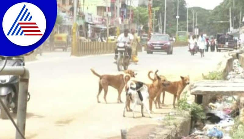 kolar people urges municipal offcers to control the street dogs gvd