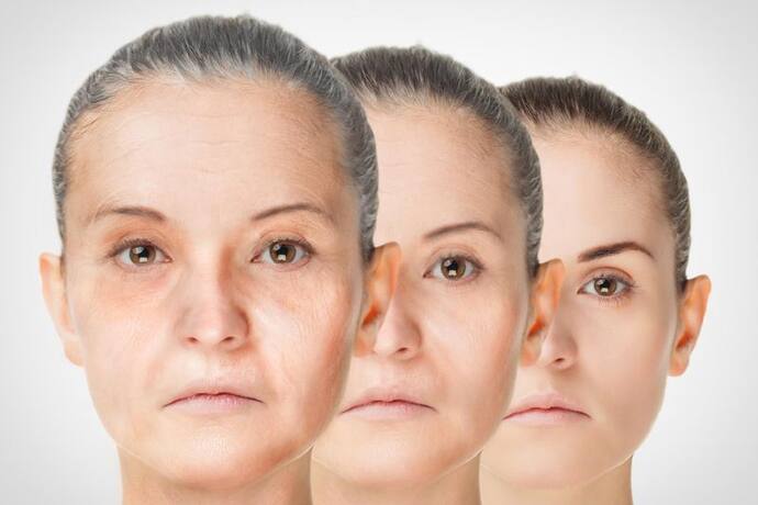 anti aging