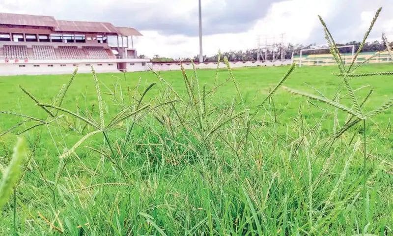 Malappuram payyanad Football stadium facing maintenance issue