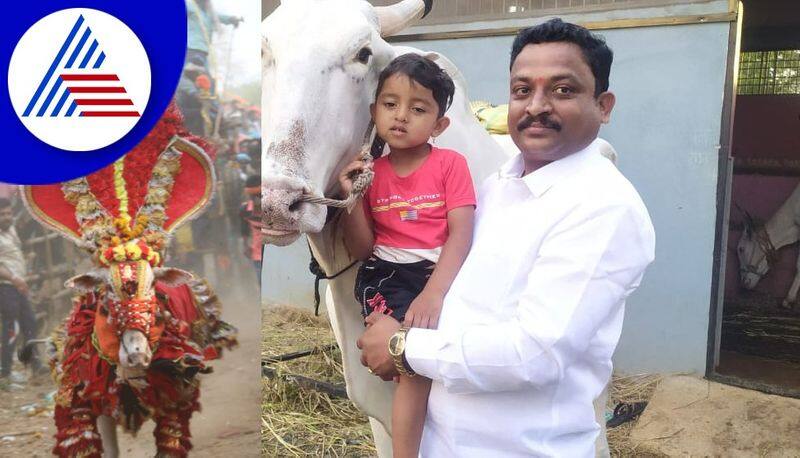 soraba man prasanna kumar Purchased famous chamundi express bull for recorded price akb