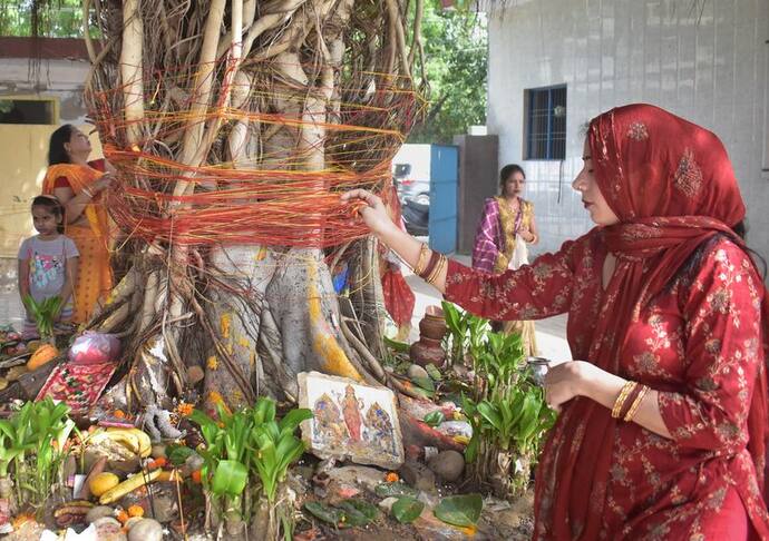 प्रभु सातों जन्म में भी ऐसी पत्नी ना मिले...पीपल देवता की 108 बार उल्टी परिक्रमा कर पतियों ने मांगी यह दुआ