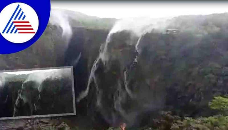 Newton's law of gravity proved wrong in jog falls