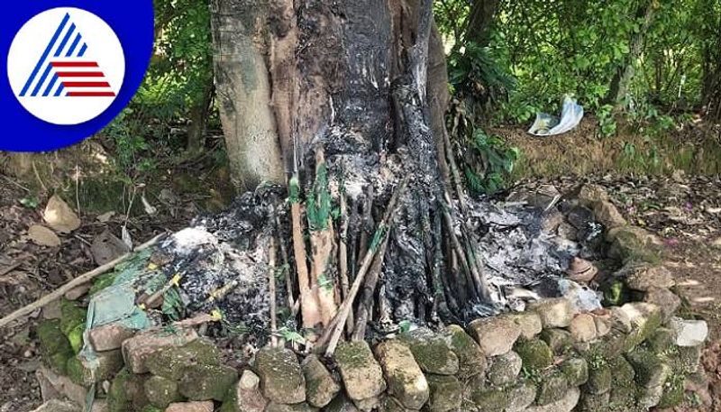 Set Fire to the Tree Who Perform God-worship of the Muslims in Chikkamagaluru grg