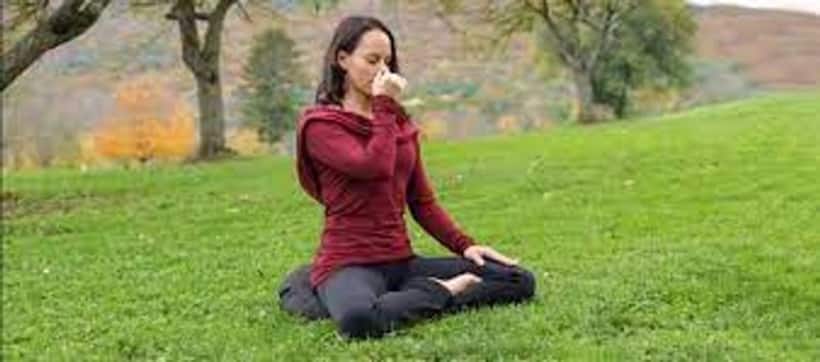 Asianet Image