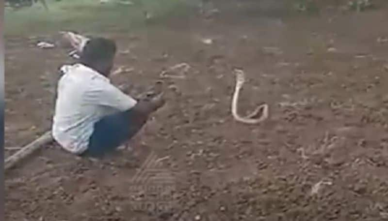 Haveri young boy with Snake cobra Video Goes Viral rbj