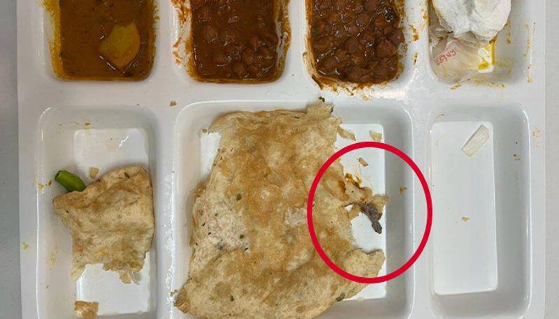 Man finds a 'semi-conscious' lizard in chole bhature; watch - gps