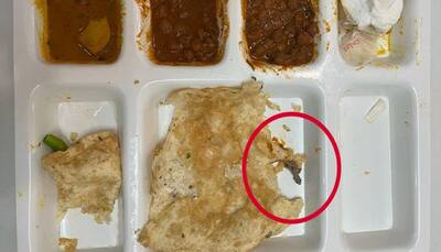 Man finds a ‘semi-conscious’ lizard in chole bhature; watch