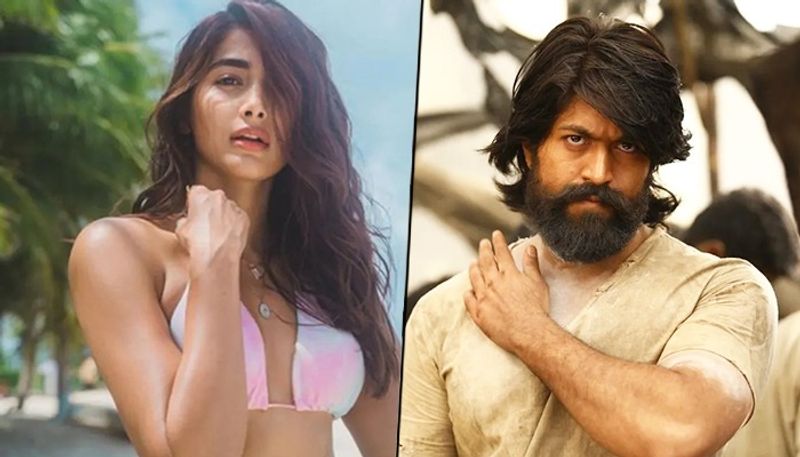 KGF star Yash to romance Pooja Hegde? Here's what we know RBA