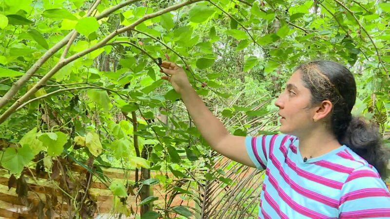 A Udupi Couple success In 200 foreign bred fruits tree planting rbj