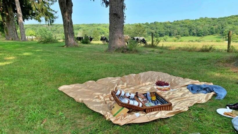 कर लीजिए बैग पैक  International Picnic Day पर हम आपको बता रहे हैं दुनिया के 5 बेस्ट पिकनिक स्पॉट