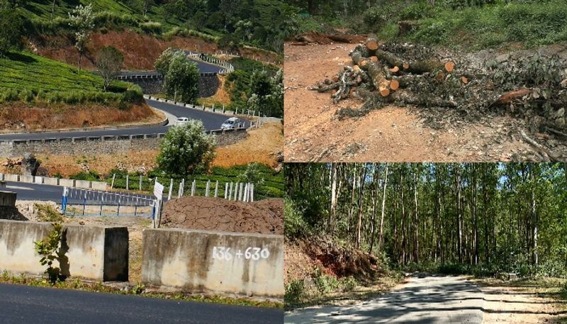 Kochi Dhanushkodi national highway trees cut after departmental dispute over