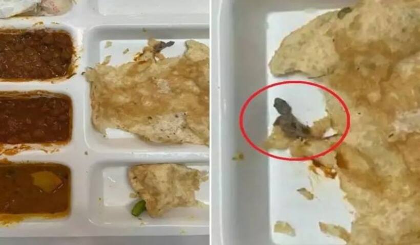 रेस्त्रां में शख्स ने खाने को छोला भटूरा मंगाया, वेटर ऑर्डर लेकर आया, मगर छोले में जो दिखा उससे मच गया हंगामा