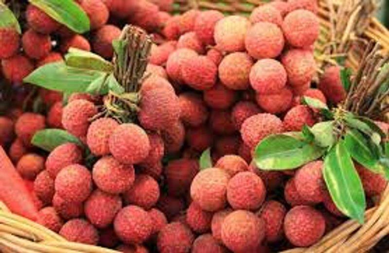 Lychee seeds health benefits: Know their nutrition, risks and more ADC