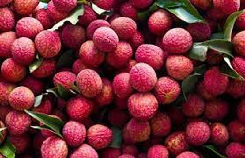 Lychee seeds health benefits: Know their nutrition, risks and more ADC